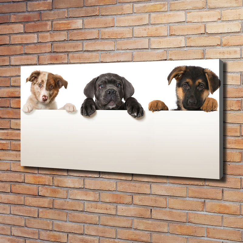 Three Puppies - Print, 60cm H x 120cm W x 2cm D, Canvas