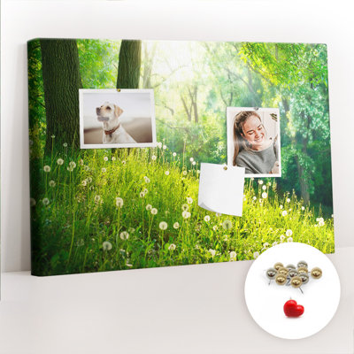 Mackel Cork Corkboard / Bulletin Board