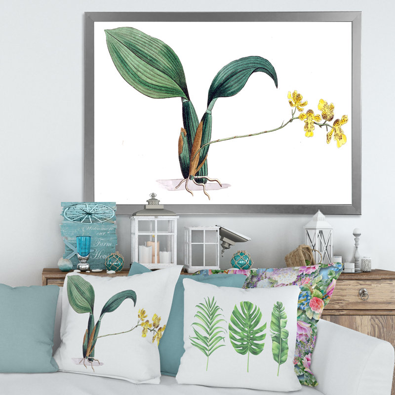 «Vintage Plant Life VI», peinture sur toile, Cadre photo argenté, H 24 po x l 32 po x P 1 po