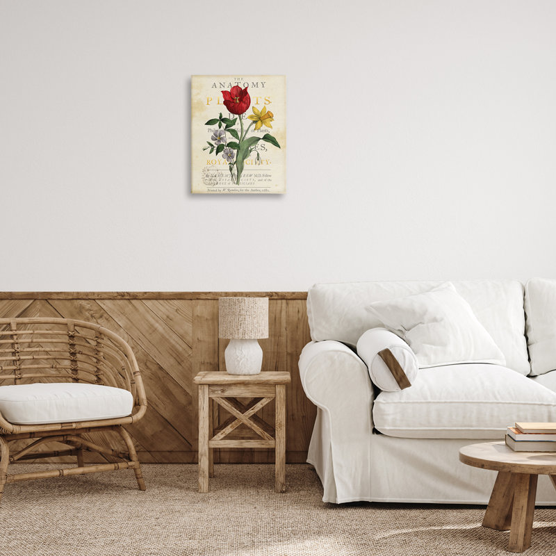 Art mural sur toile Antique Anatomy of Plants, design par Susan Arnot, 20" H x 16" W