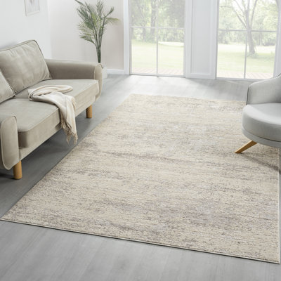 Farmhouse Distressed Power-Loomed Indoor Area Rug