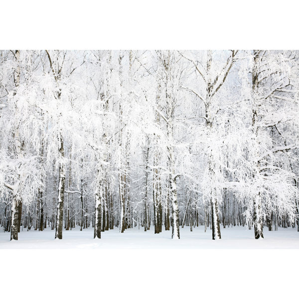 Alpen Home Desousa Russian Winter - Wrapped Canvas Photograph | Wayfair ...