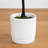 72'' Faux Bougainvillea Tree in Planter