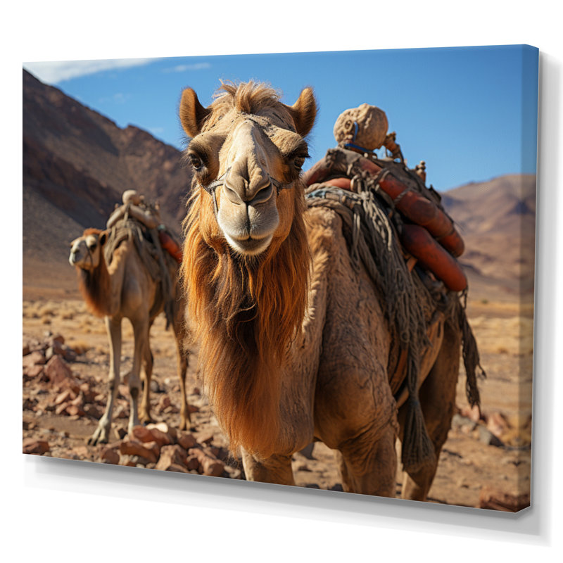 Keerthi chameau désert Wanderer II - impression, 12" H x 20" W, Toile tendue