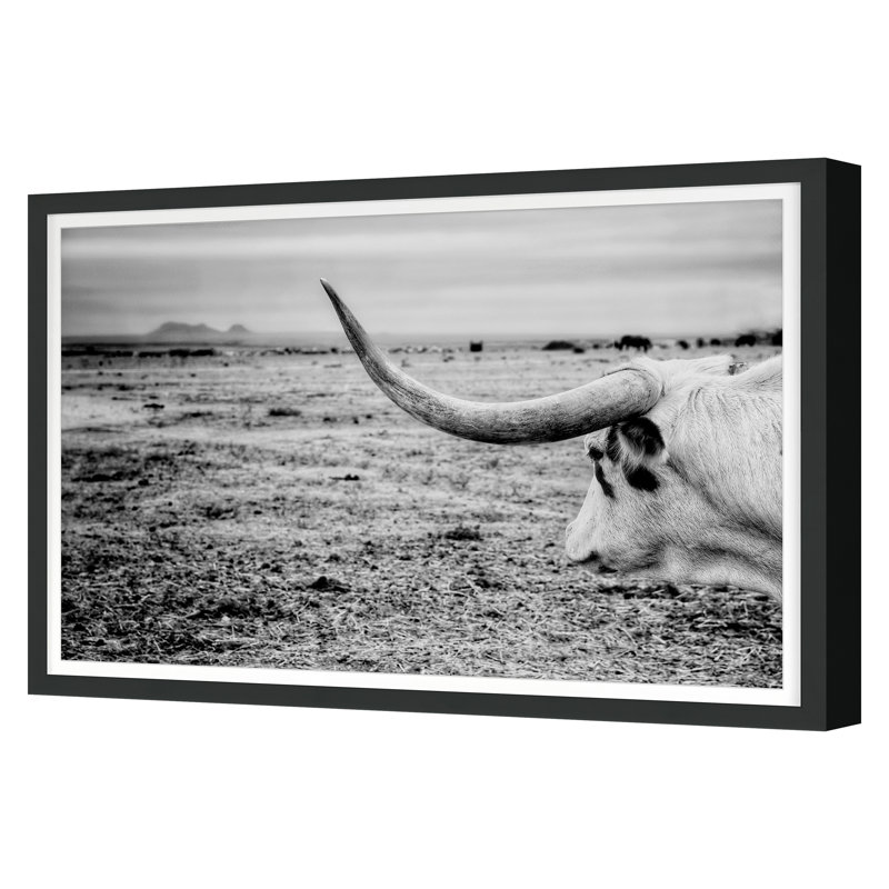 The Horn Print by Cornell, Jean, Black Single Picture Framed, 30'' H x 45'' W