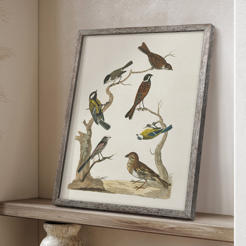 «Antique Birds in Nature II», reproduction encadrée - bois massif, H 11 po x l 9 po