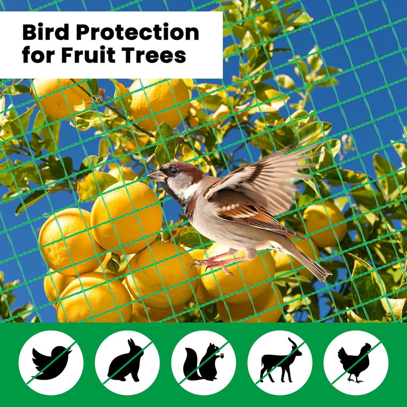 Devizes Poultry Net, 120cm H x 2500cm W x 1cm D