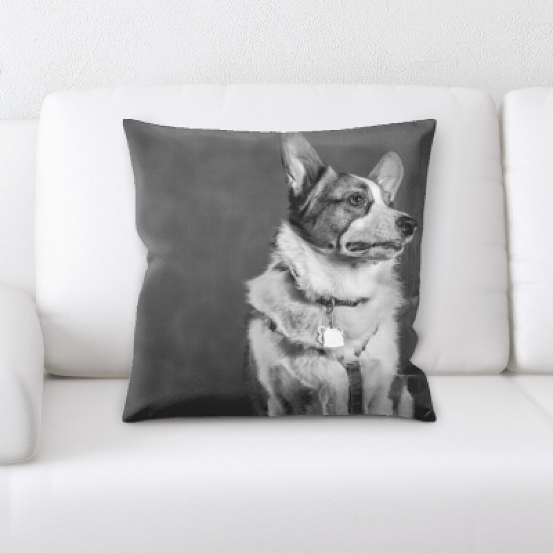 Coussin pour chien