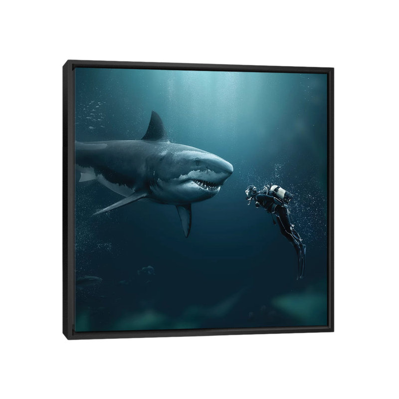 Shark Meets Diver by Zenja Gammer - Print on Canvas, 45.72 cm H x 45.72 cm W, Black Framed