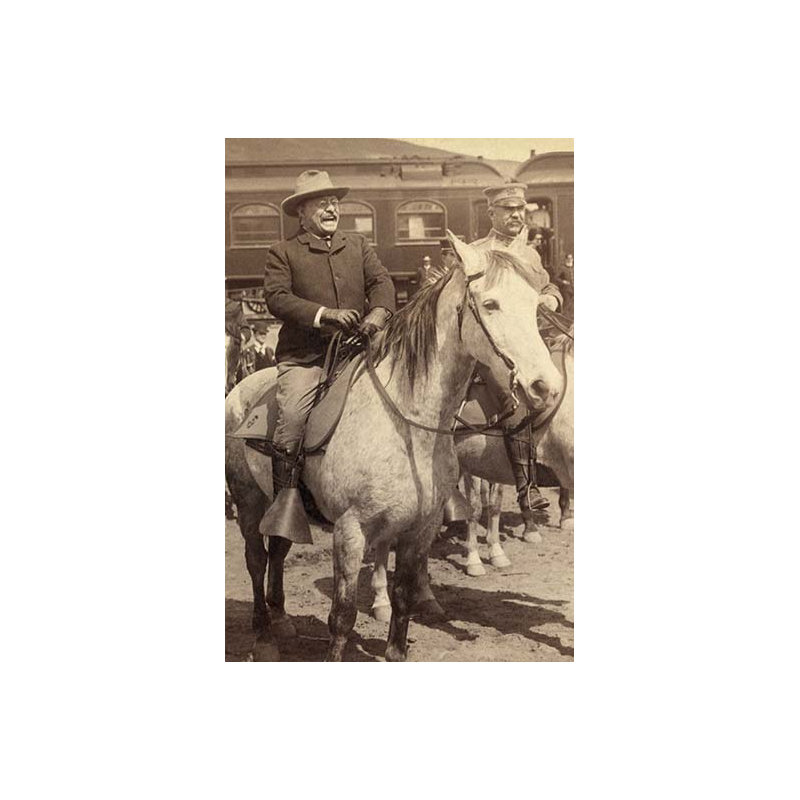 « roosevelt », reproduction de photo, H 30 po x l 20 po