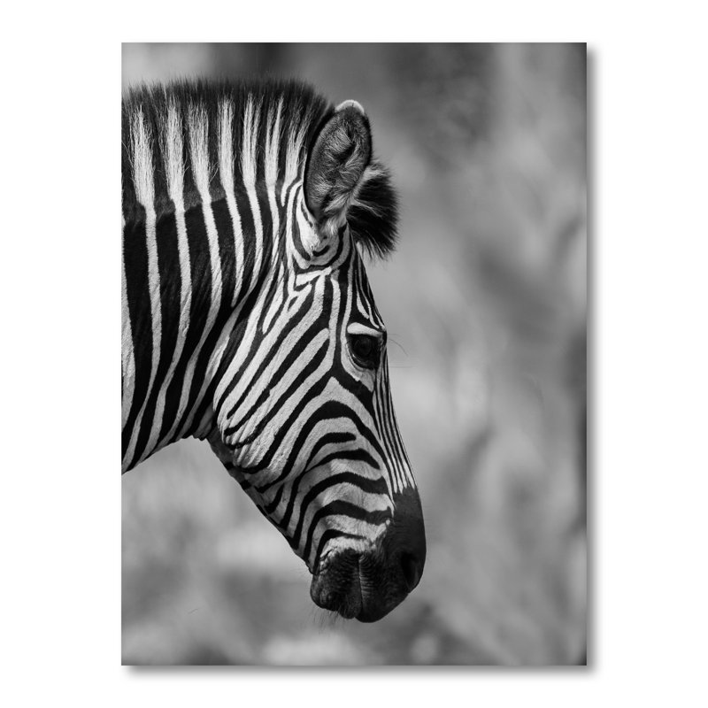 Tête de zèbre africain en noir et blanc - Impression sur toile, H 32 po x l 16 po, Toile tendue
