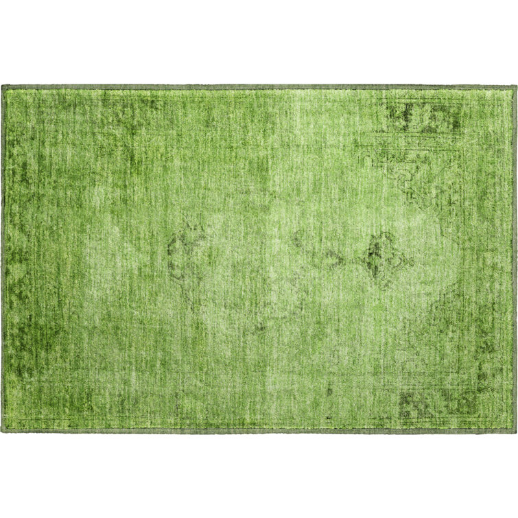 Premium Machine Washable Kiyondrea Aloe Rug