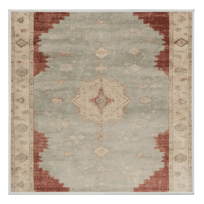Machine Washable Overdyed Beige Area Rug