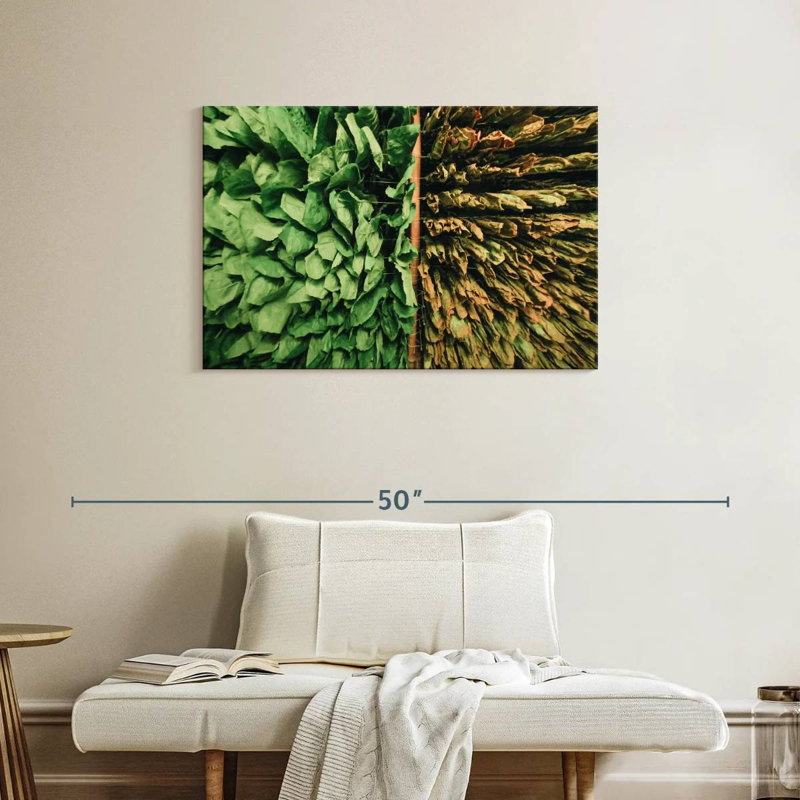 Harnek Tobacco Leaves, 24" H x 36" W