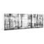 « panoramic forest »-impression sur bois sur bois-15990167