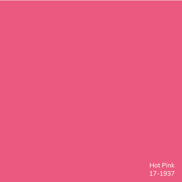 Oreiller 100% coton Edgar Square, Polyester/ bourre en polyester, H 22 po x l 22 po, Rose