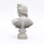 Grey Greco-Roman Classical Bust Sculpture – Matte Resin Decorative Ornament (30 cm) 