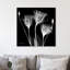 Gentian White - Wrapped Canvas Print-550540715