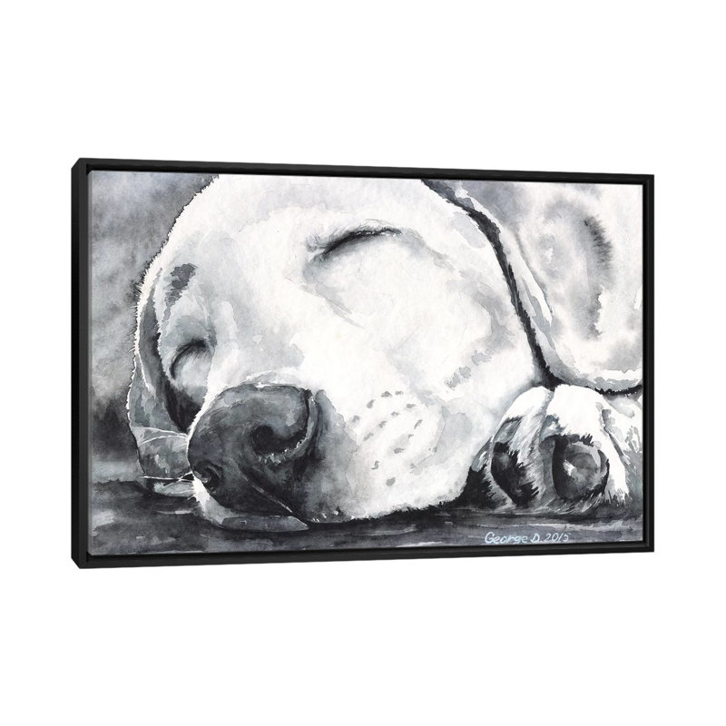 «Happy Dreams» par George Dyachenko, impression sur toile, H 32 po x l 48 po x P 1,5 po, Toile avec cadre noir