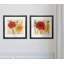 Awaited Blooms I - ensemble de 2 reproductions de cadres photo-270720240