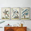 «Pastel Birds IV» - Toile tendue avec châssis sur mesure - 3 pièces-1592641696-1592641710