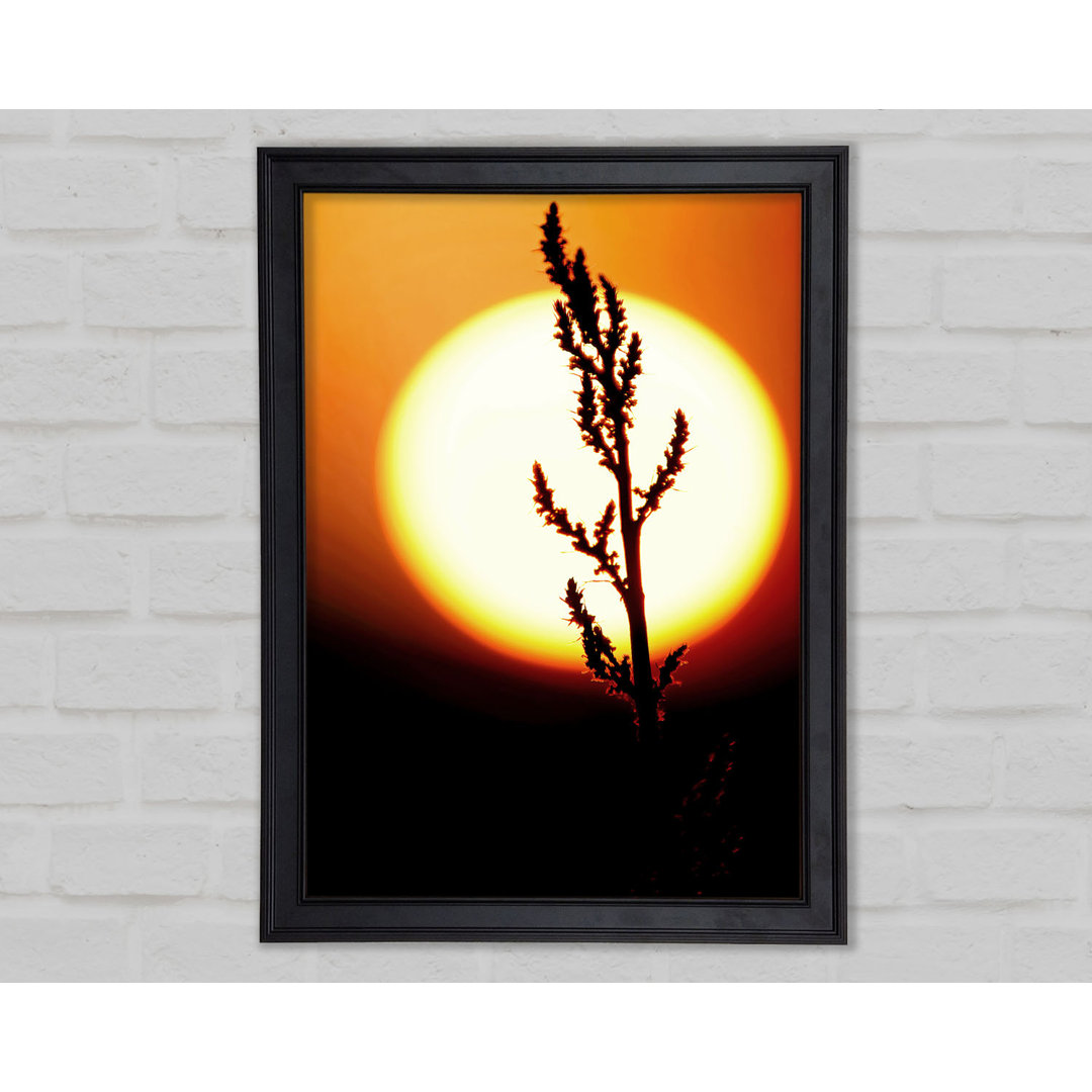 Stunning Sun Glow Orange - Einzelne Bilderrahmen Kunstdrucke