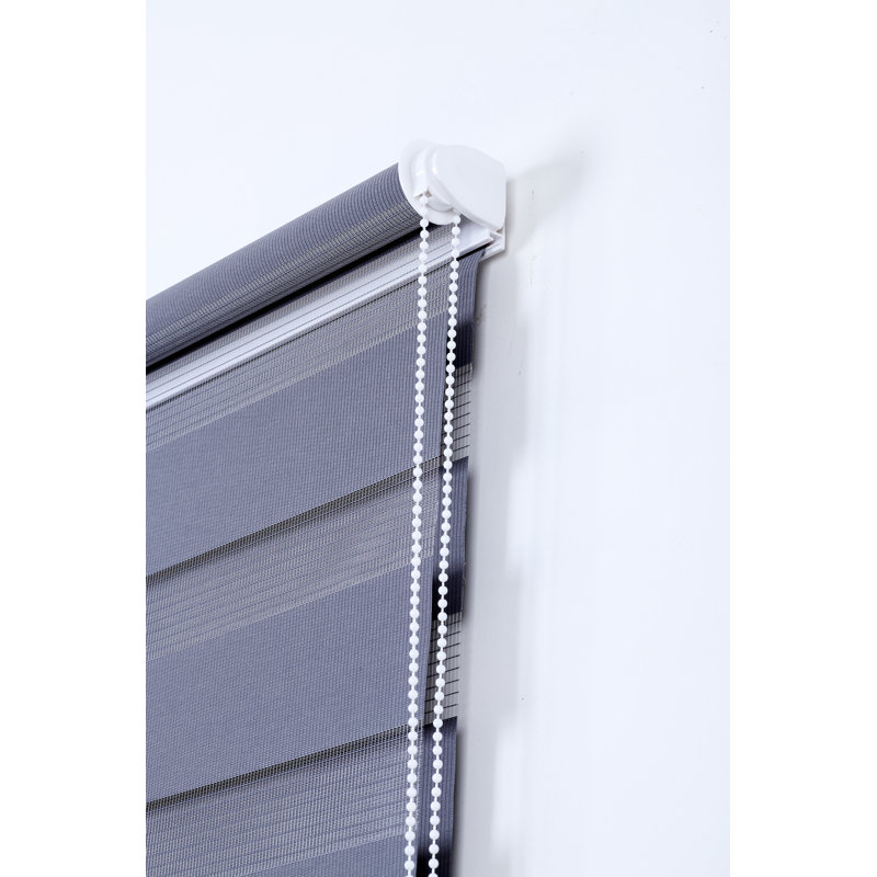 Zebra Day and Night Roller Blinds, Dual Layer Window Shades with Adjustable Light Control and Privacy for Living Room, Bedroom and Office