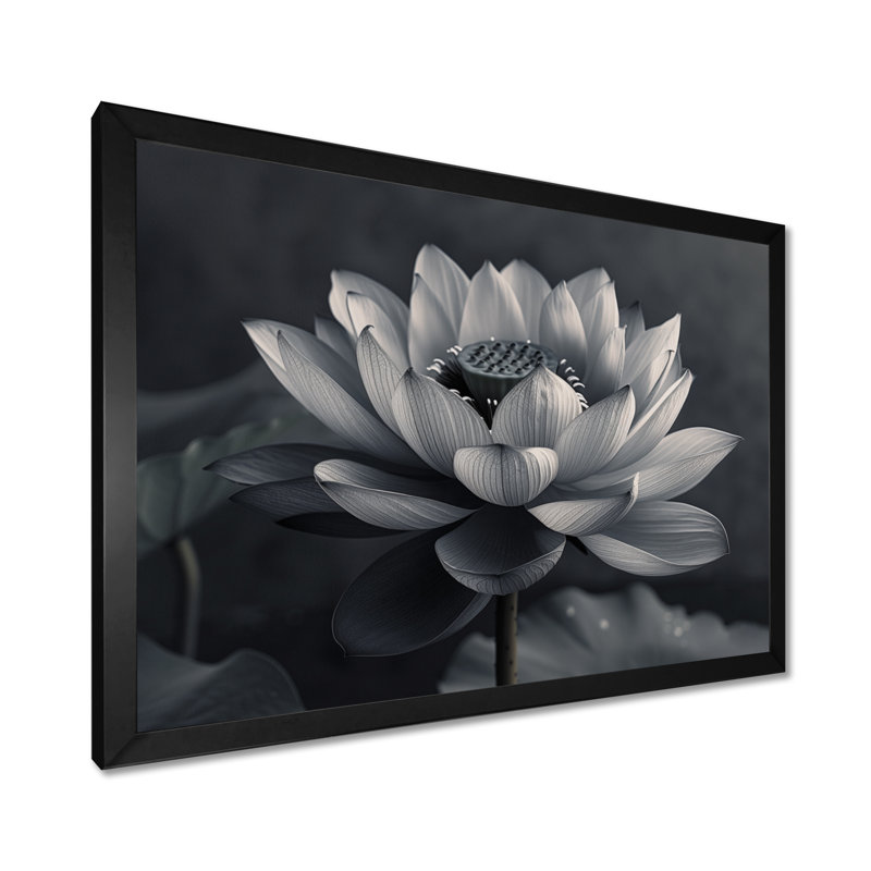 Lotus gris photo élégante silhouette III - salon d'art mural Lotus, Cadre simple noir, H 12 po x l 20 po