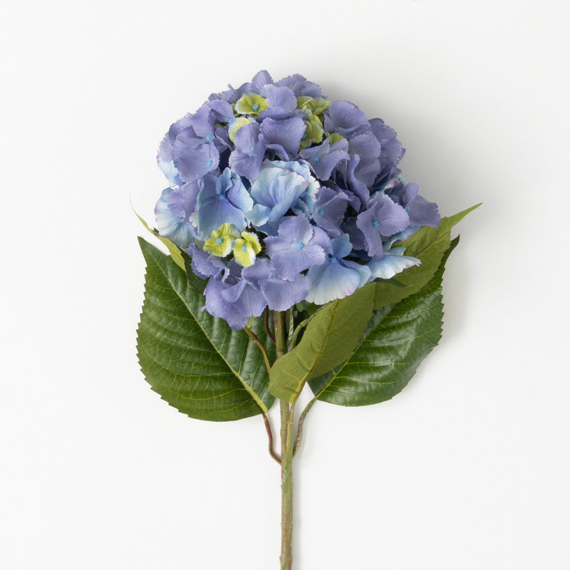 Tiges d'hortensia Mcnulty, Bleu