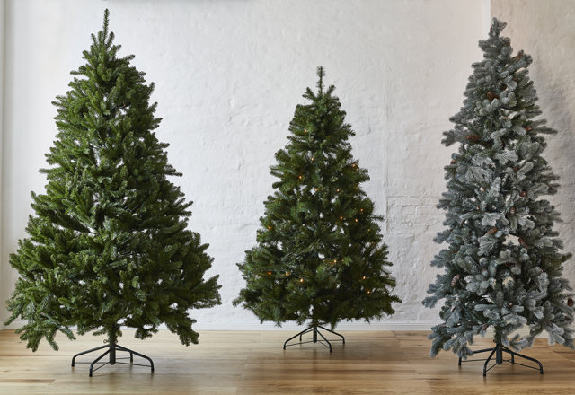Best Christmas Trees