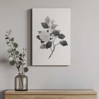 «Botanical V» par Deborah Revell, reproduction d'art sur toile