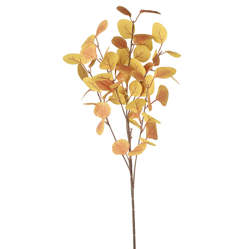 Arrangement