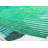 Maisie Modern White Palm Area Rug-1588089426
