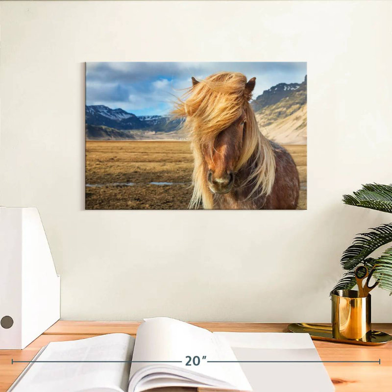 Brampt superbe cheval Islandais, H 8 po x l 12 po