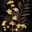 « noir i », impression sur toile-20900973