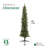 Lauresha The Holiday Aisle® Rotating Tree Stand Base w/Stanley 7' Artificial Christmas Tree