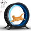 93 cm H Cat Tree / Condo-6189889