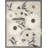 Aloha  Floral Beige Indoor/Outdoor Area Rug-386050051