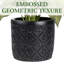 Artificial Plant