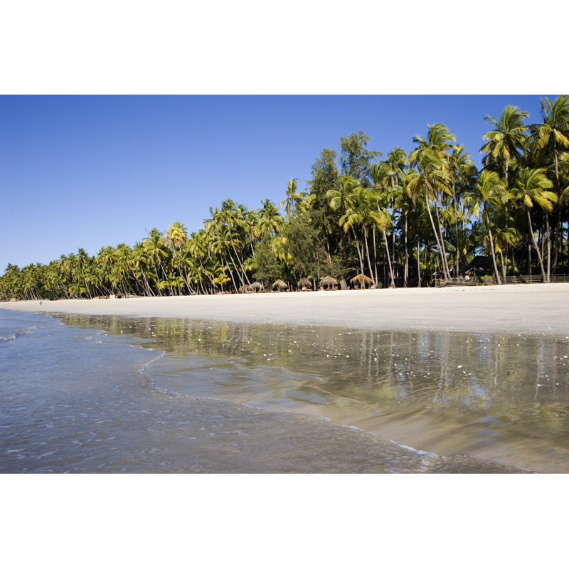 Plage tropicale avec palmiers par Mihau, H 20 po x l 30 po