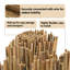 Bamboo Fence