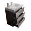 Meuble-lavabo de 30 po en noyer avec lavabo, grand rangement, conception moderne, pré-assemblé-1483191727