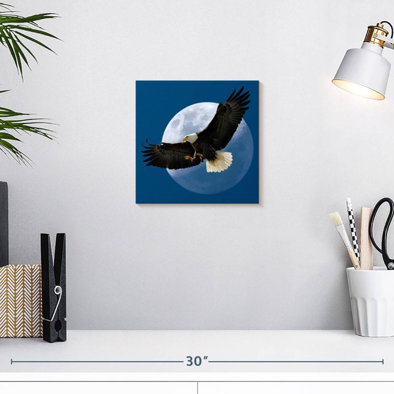 Crowle Midnight Bald Eagle, 10" H x 10" W