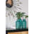 Philodendron Selloum Arrangement