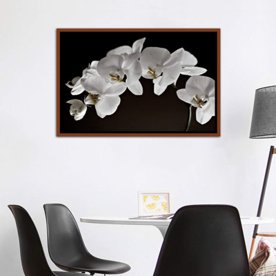 Orchidées - reproduction de photo