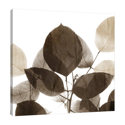 " Chocolate Leaves 1 " by Kimberly Allen