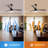 51.96'' Ceiling Fan with LED Lights