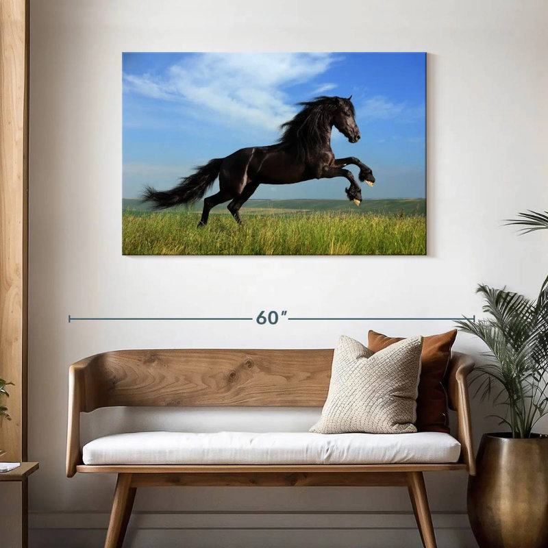 Brampt superbe cheval frison, H 30 po x l 45 po