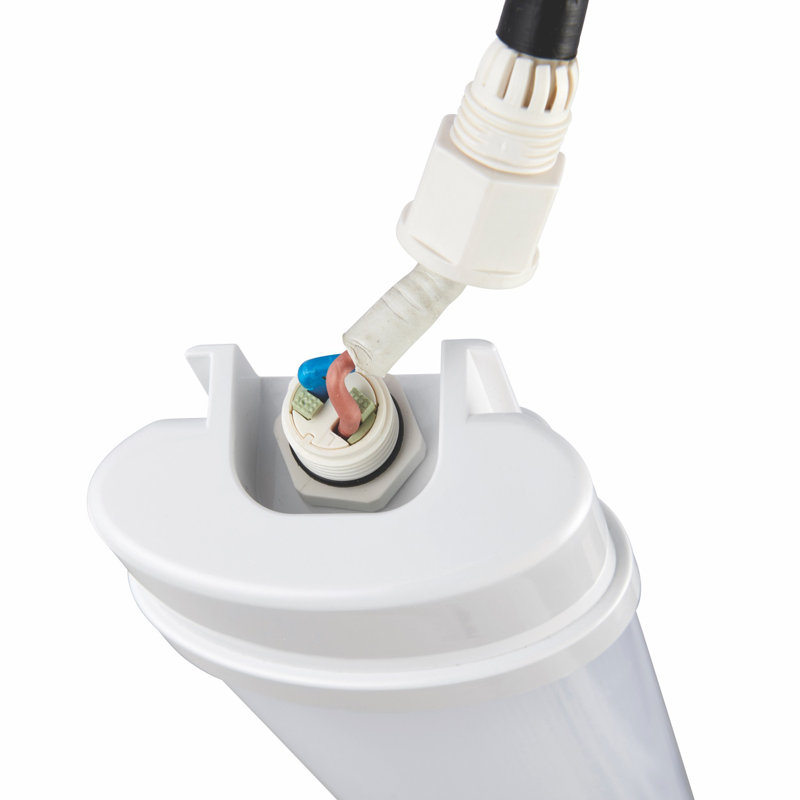 White 7 W
