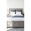 56" Velvet Wingback Bed-39394273-39394276